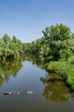 Handaki nehirde iki ördekle birlikte batık bir tekne.