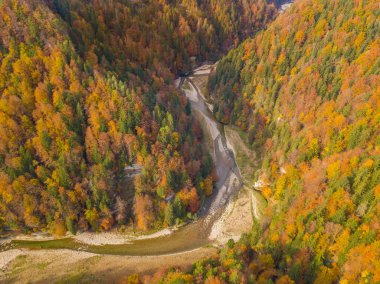 İsviçre 'deki uzak ve vahşi nehir hissinin havadan görünüşü. Ormanda güzel sonbahar renkleri. Doğadaki vahşi yaşam kavramı.