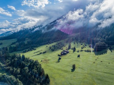 Akşam güneşinde ormanın havadan görünüşü, sıcak renkler, Switz 'de