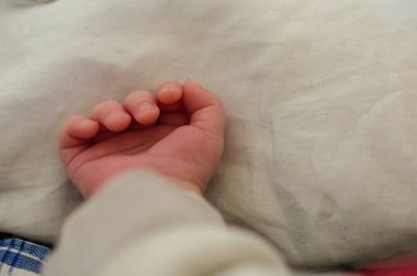 Yeni doğmuş bir bebeğin küçük eli. Bebek parmakları ve avuç içi