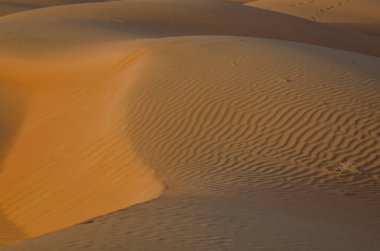 Wahiba çölünde akşam vakti rüzgar desenli kum tepecikleri