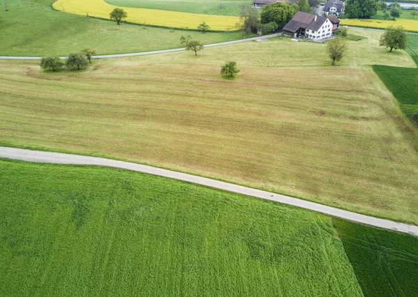 Vista Aérea Campo Agrícola — Fotografia de Stock