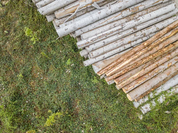 Vue Aérienne Pile Billes Bois Pile Arbres Dans Forêt — Photo