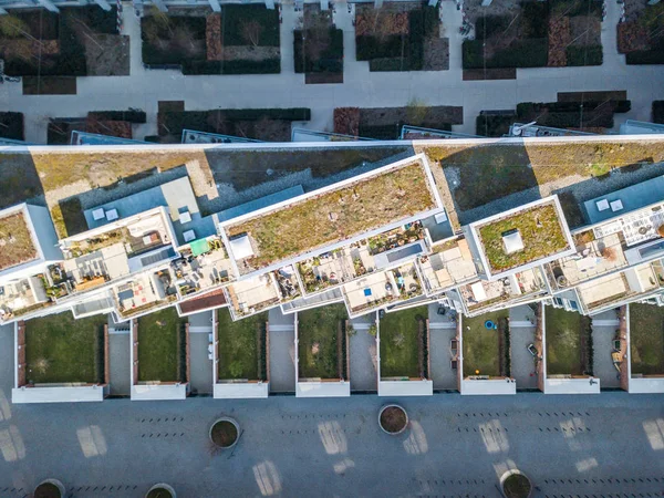 Aerial view of rooftop garden in urban residential area