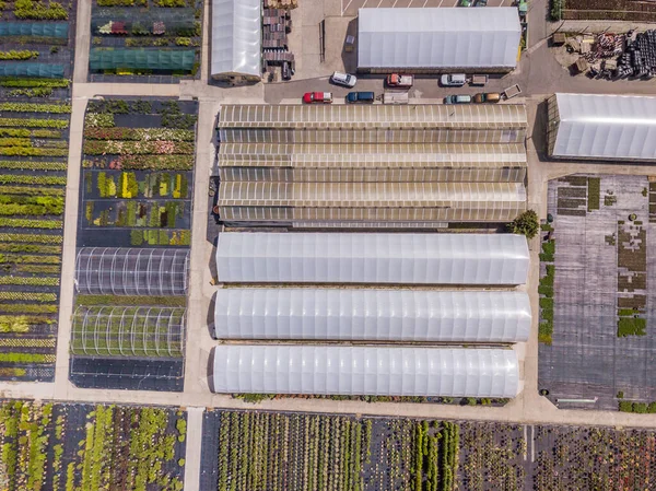 植物苗圃栽培幼苗行的空中景观 — 图库照片