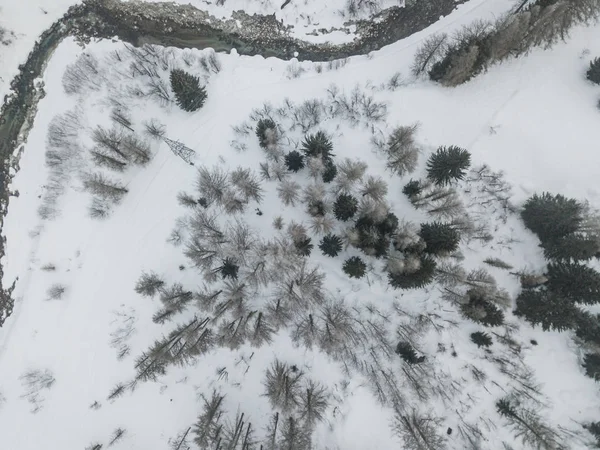 Vista Aérea Abetos Neve Coberto Paisagem Inverno Fotos De Bancos De Imagens