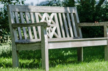 Parktaki ahşap bank. Bankın etrafında yeşil bitkiler. Rahatlamak için sakin bir yer.