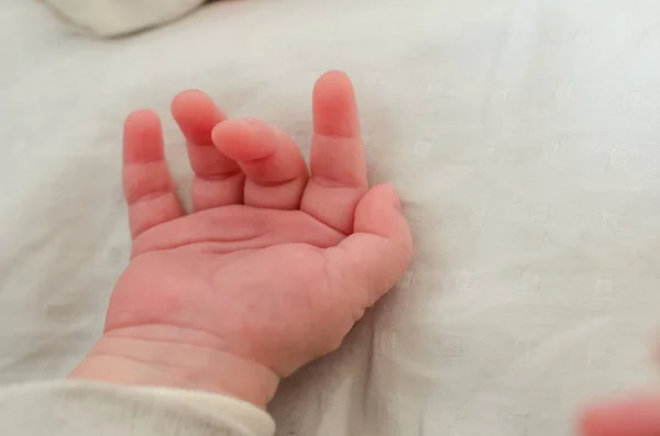 Mão Pequena Bebê Recém Nascido Dedos Infantis Palma — Fotografia de Stock