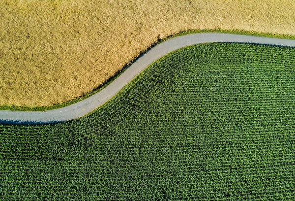 Vista Aérea Dos Campos Cultivo — Fotografia de Stock