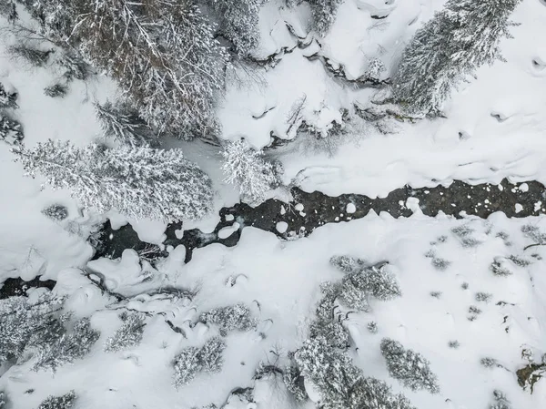 穏やかな風景の中で川の徹底的な雪に覆われた森の空中ビュー — ストック写真