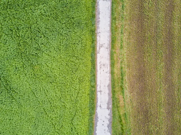 Vista Aérea Estrada Nos Campos — Fotografia de Stock