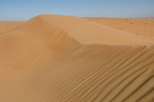 Sand Dunes Wind Pattern Wahiba Sands Desert — Stock Photo, Image