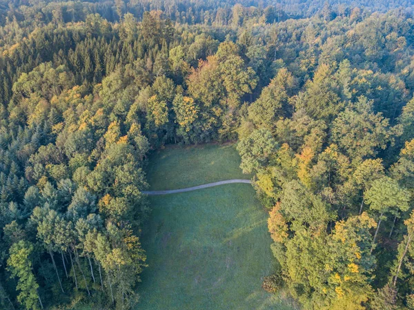Pemandangan Udara Dari Jalan Setapak Hutan — Stok Foto