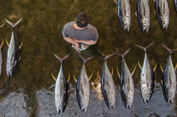 Bovenaanzicht Japanse Vismarkt Met Tonijn — Stockfoto