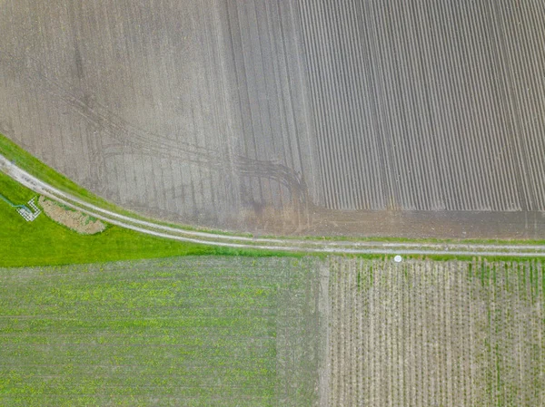 Luchtfoto Van Gewas Velden — Stockfoto