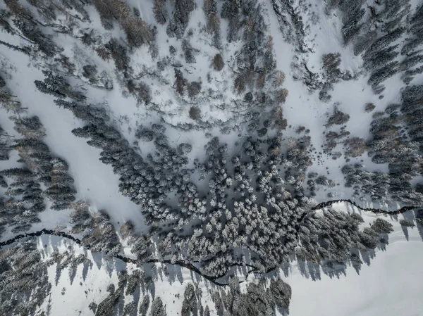 Luftaufnahme Von Schneebedeckten Tannen — Stockfoto