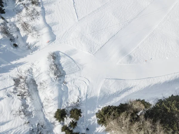 Vista Aérea Silueta Sombra Línea Árboles Paisaje Nieve Concepto Naturaleza — Foto de Stock