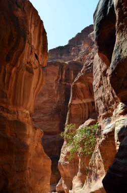 Çöldeki güzel Wadi.