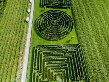 Yeşil çalılıklar dairesel labirentler, çit labirentleri