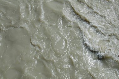 Vahşi nehir suyuna yakın