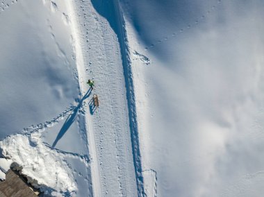 Karda kızak çeken genç bir kadının hava görüntüsü.