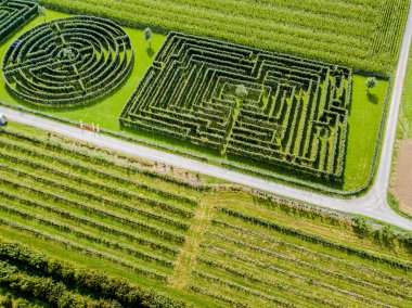 Yeşil çalılıklar dairesel labirentler, çit labirentleri