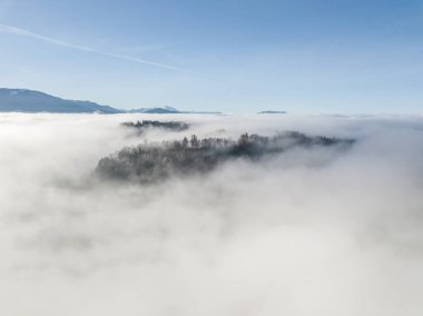 İsviçre 'nin sisle kaplı kırsal manzarasının havadan görünüşü. 