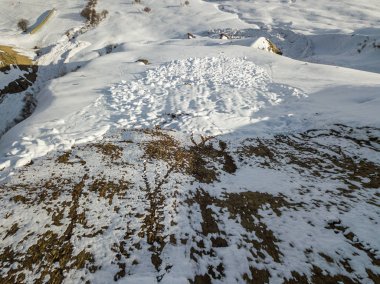Dağ yamacındaki kar çığ görüntüsü.