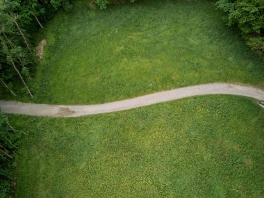 Aerial view of path trough forest in Switzerland