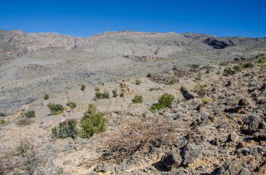 Mountain ridge in Oman on background