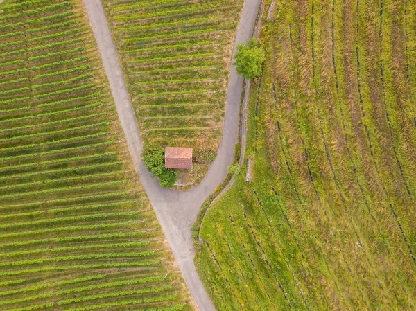 秋の季節にスイスの山のコテージの空中ビュー — ストック写真