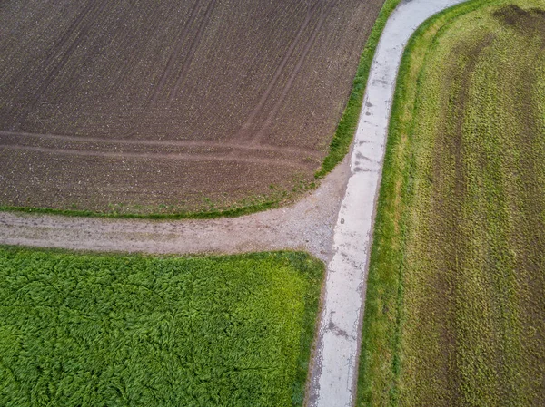 Вид Воздуха Дорогу Вдоль Двух Сельскохозяйственных Полей Летом — стоковое фото