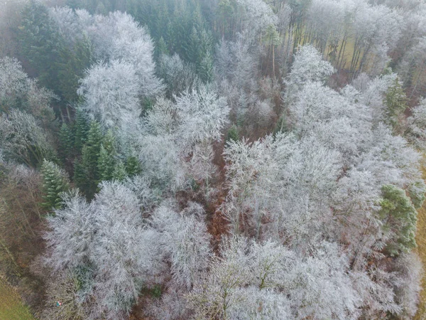 Letecký Pohled Stromy Pokryté Chocholem Chladného Zimního Dne — Stock fotografie