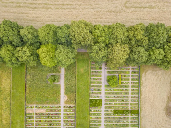 Aérien Ligne Des Arbres Sur Cimetière — Photo