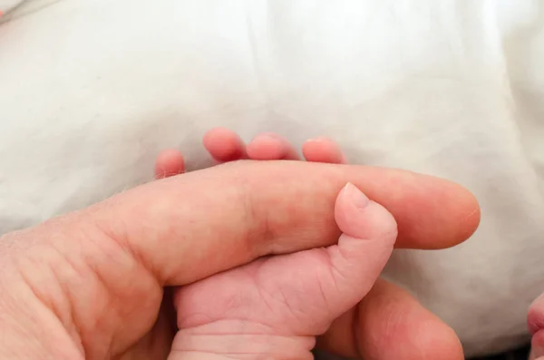 Mão Bebê Recém Nascido Segurando Dedo Adulto Masculino Conceito Ajuda — Fotografia de Stock