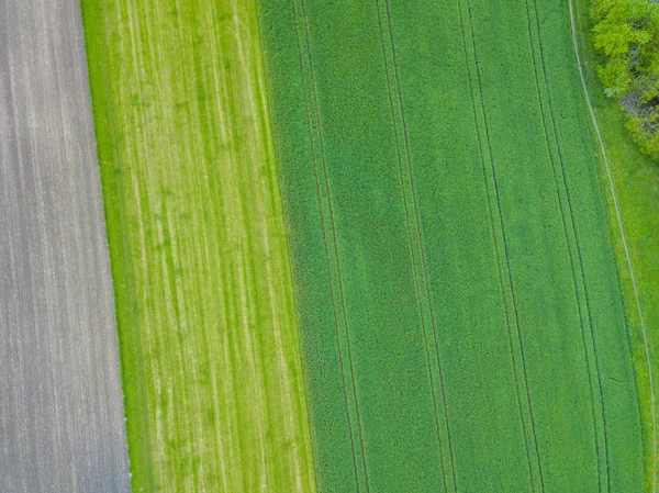 Luftaufnahme Von Getreidefeldern — Stockfoto