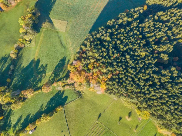 Vista Aérea Floresta Área Aberta Suíça Partir Cima Campo Calmo — Fotografia de Stock