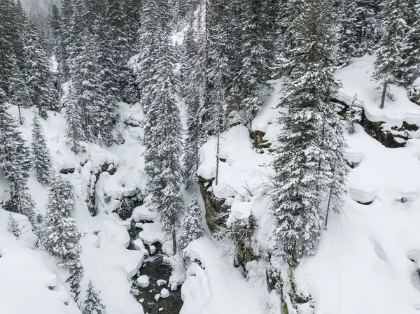 穏やかな風景の中で川の徹底的な雪に覆われた森の空中ビュー — ストック写真