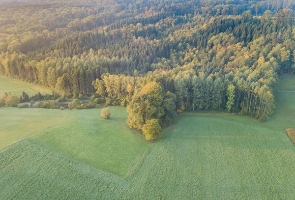 Вид Воздуха Реку Через Лес Осеннем Пейзаже — стоковое фото