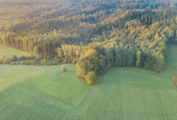 Vista Aerea Del Fiume Attraverso Foresta Nel Paesaggio Autunnale — Foto Stock