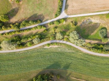 Kırsal arazide çalılarla birlikte yol manzarası