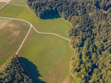 Aerial view of path trough forest in Switzerland