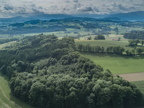 Vue Aérienne Forêt Espace Ouvert Suisse Haut Campagne Calme — Photo