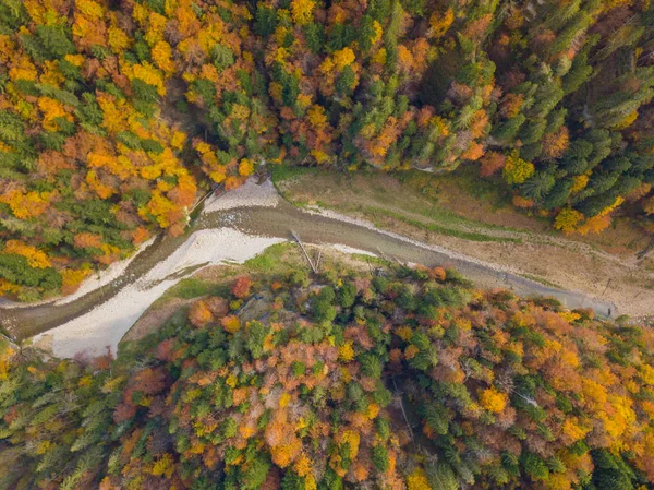 Вид Воздуха Отдаленную Дикую Реку Сенс Швейцарии Красивые Осенние Цвета — стоковое фото