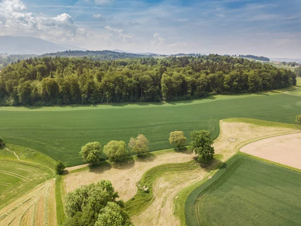 Luftaufnahme Des Waldes Ländlicher Landschaft Der Schweiz — Stockfoto