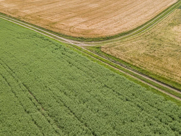 Aerial View Road Fields — Stock Photo, Image