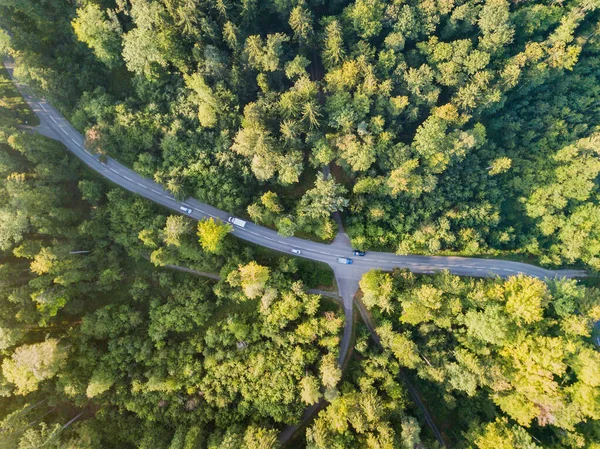 Vedere Aeriană Drumului Prin Pădure Elveția — Fotografie, imagine de stoc