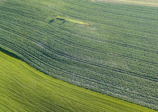 Vista Aérea Los Campos Agrícolas — Foto de Stock