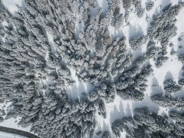 Flygfoto Snötäckta Granar — Stockfoto