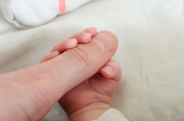 Yeni Doğmuş Bir Bebeğin Eli Yetişkin Bir Erkeğin Parmağını Tutuyor — Stok fotoğraf